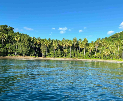 A Lake inside a Forest