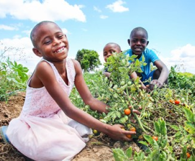 Girl plucking vegetables from plants