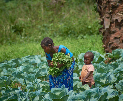 Woman farmer from DRC with her child in a cabbage field.