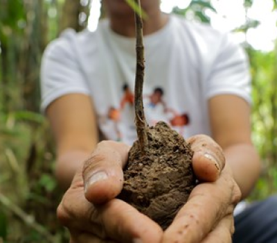 Holding a plant with mud in his hand