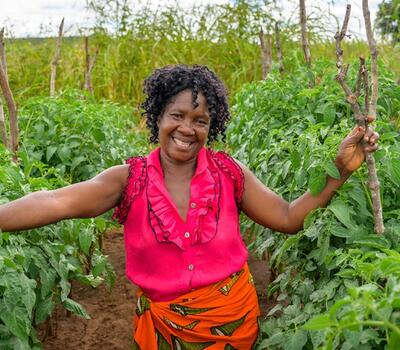 Grow a veg garden