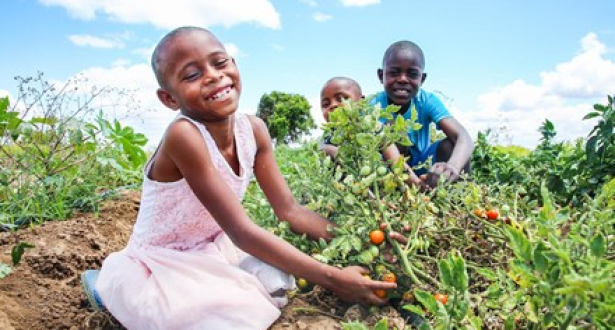 Girl plucking vegetables from plants