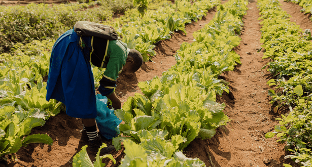 Girl planting in her garden