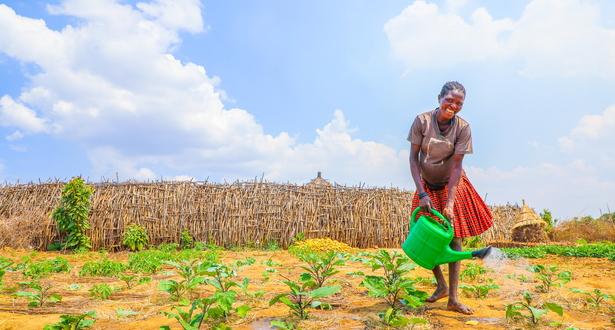 Zai Pits Transforming Nutrition and Food Security in Karamoja