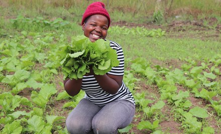 woman holding some plant