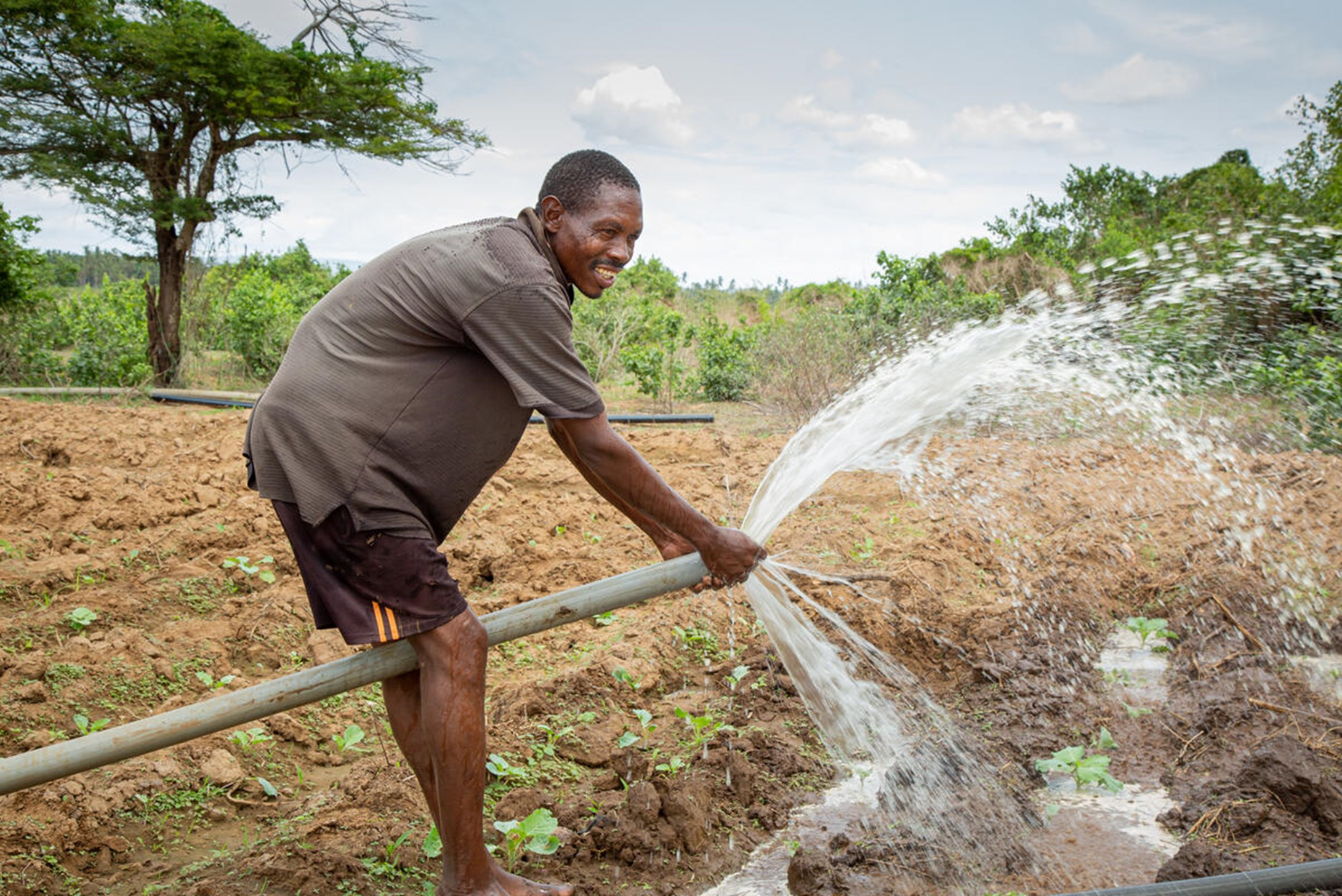 A farmer, from the Vision farming group, works in the fields in Marafa AP, Kenya